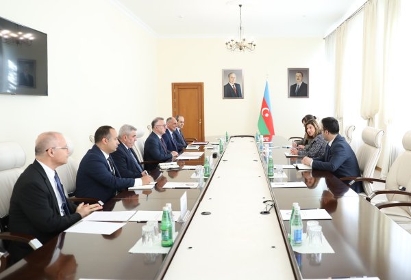 Azerbaijan's Health Ministry meets with delegation of International Commission on Missing Persons (PHOTO)
