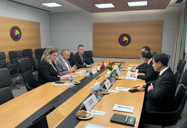 Turkmenistan, Türkiye discuss expanding business cooperation