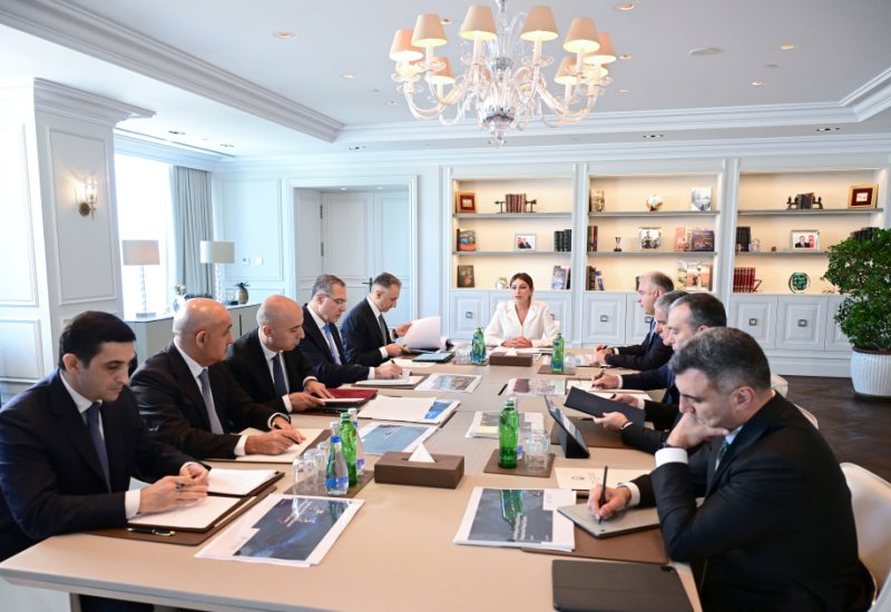 First Vice President Mehriban Aliyeva chairs first meeting of Council on Digital Development (PHOTO)