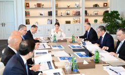 First Vice President Mehriban Aliyeva chairs first meeting of Digital Develolment Council (PHOTO)