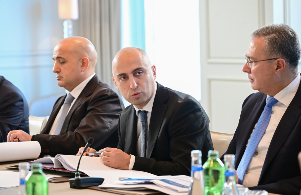 First Vice President Mehriban Aliyeva chairs first meeting of Digital Develolment Council (PHOTO)