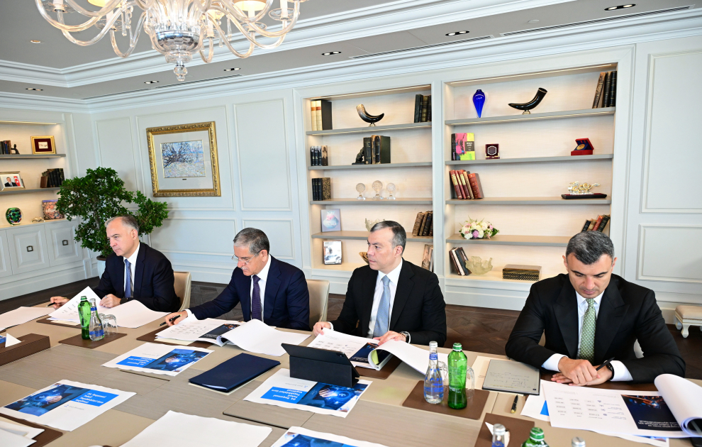 First Vice President Mehriban Aliyeva chairs first meeting of Digital Develolment Council (PHOTO)