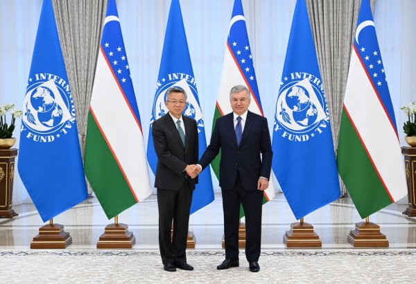 Shavkat Mirziyoyev meets IMF's Bo Li to advance macroeconomic reform co-op