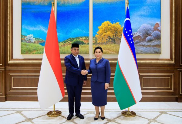 Uzbekistan, Indonesia push to strengthen interparliamentary cooperation