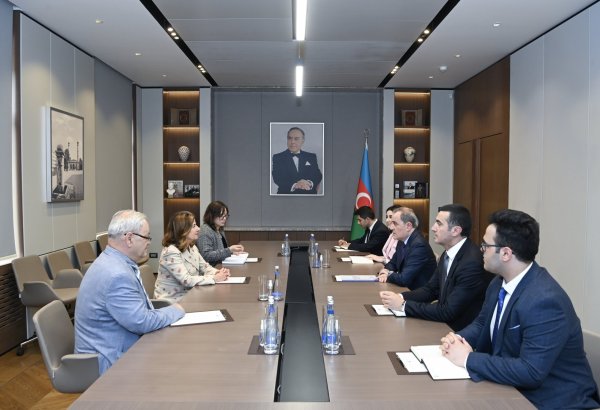 Azerbaijan FM holds talks with ICMP Director General (PHOTO)