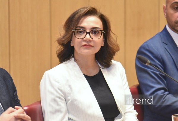 Azerbaijan has significant potential for developing scientific research — Sevinc Mammadova