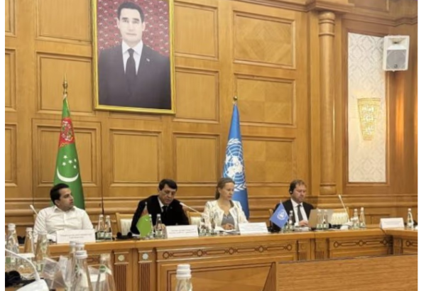 Ashgabat hosts interagency meeting on irrigation, water infrastructure