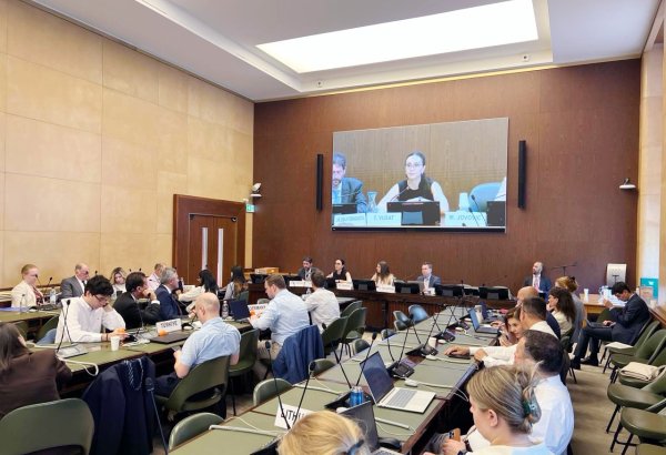 Azerbaijan secures right to accede UNECE Committee Bureau leadership