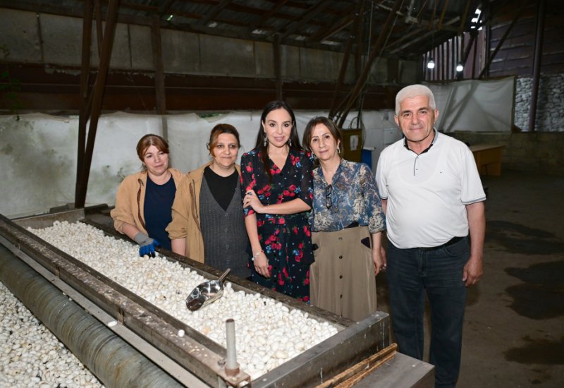 Heydar Aliyev Foundation VP Leyla Aliyeva visits Azeripek OJSC (PHOTO)