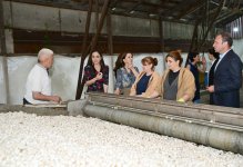 Heydar Aliyev Foundation VP Leyla Aliyeva visits Azeripek OJSC (PHOTO)