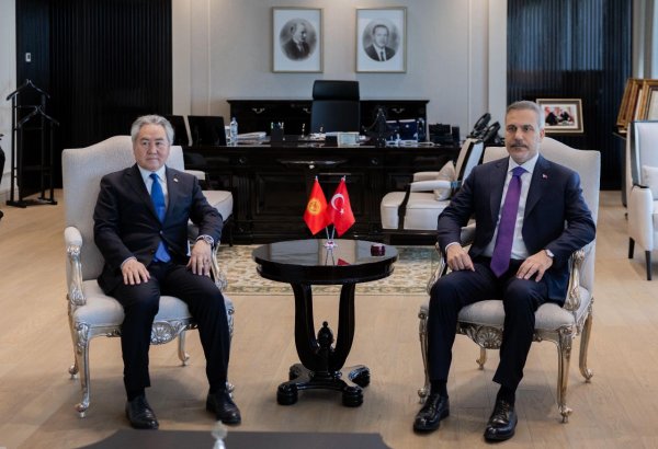 Kyrgyzstan, Türkiye review broad agenda of strategic partnership