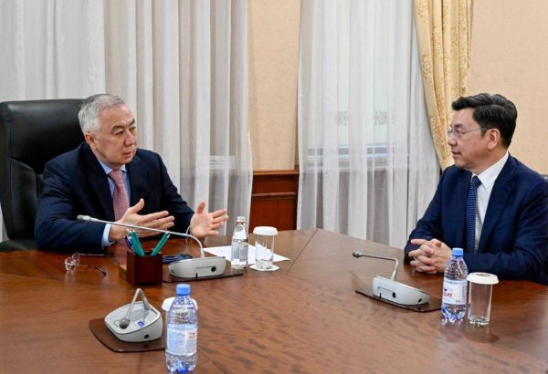 Kazakhstan, Chinese company discuss AI tools for economic forecasting