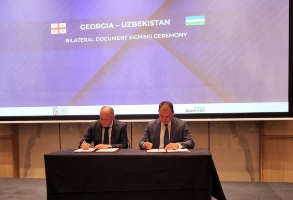Uzbekistan, Georgia discuss new agricultural investment projects