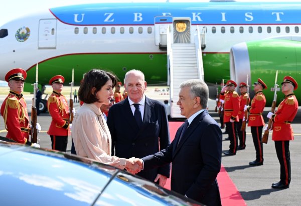 Uzbek President Mirziyoyev arrives in Georgia for state visit