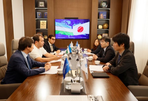 Uzbekistan, Japan discuss preparations for Keidanren delegation visit