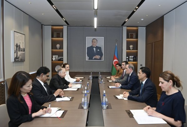 Azerbaijan's foreign minister holds meeting with UN special envoy on road safety
