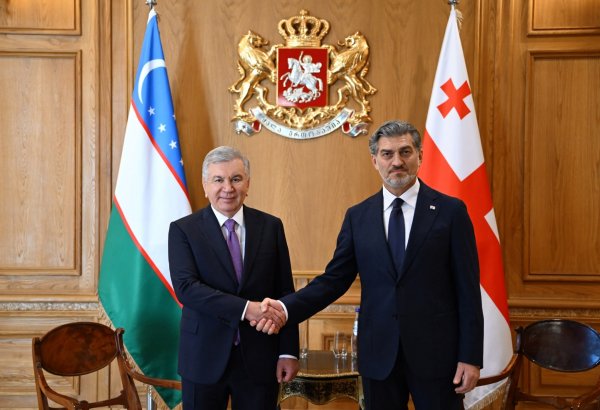 Uzbekistan, Georgia presidents pledge to deepen bilateral ties