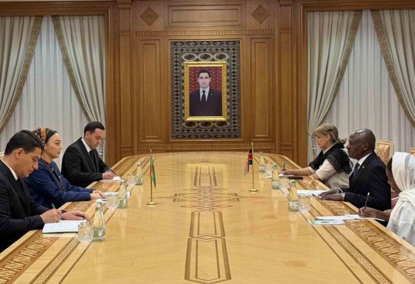 Turkmenistan, Kenya discuss expanding bilateral cooperation