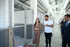 Leyla Aliyeva attends opening of regional branch of Stray Animal Care Center in Yevlakh (PHOTO)