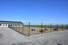 Leyla Aliyeva attends opening of regional branch of Stray Animal Care Center in Yevlakh (PHOTO)