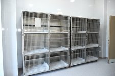 Leyla Aliyeva attends opening of regional branch of Stray Animal Care Center in Yevlakh (PHOTO)