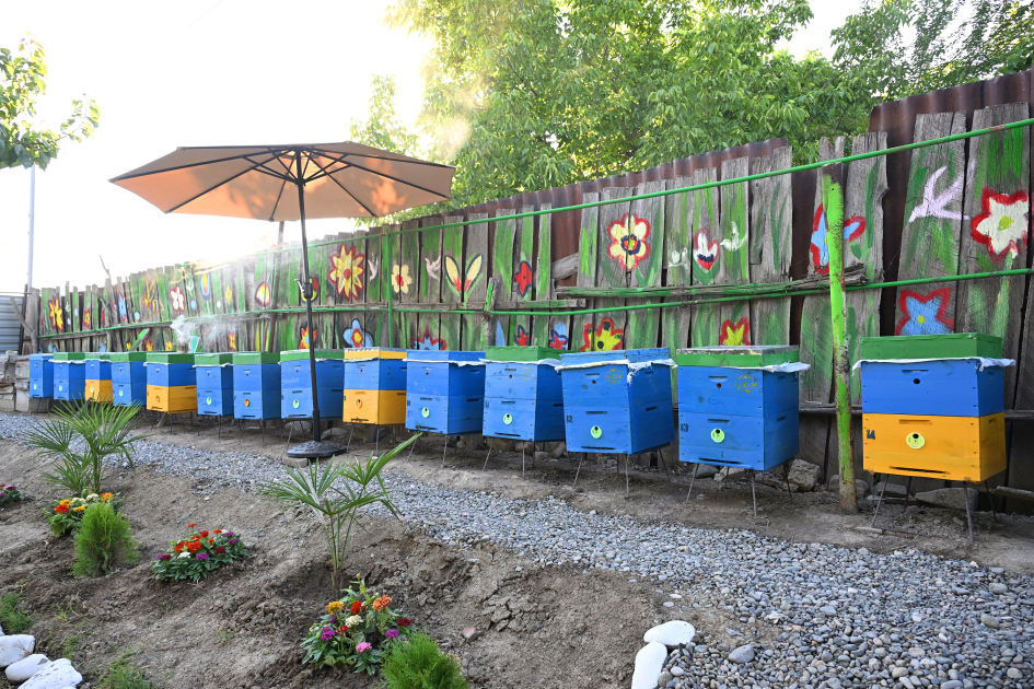 Leyla Aliyeva meets “Young Beekeeper” project participant in Yevlakh (PHOTO)