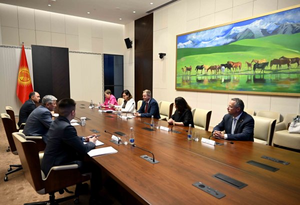 Kyrgyzstan, Germany explore expanded cooperation across key sectors