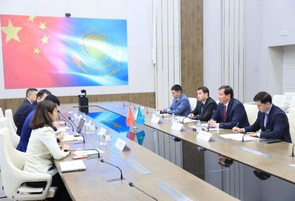 China's Envision Energy plans wind farm in Kazakhstan's Aktobe
