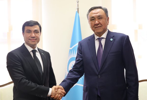 Turkmenistan, Organization of Turkic States move to expand cooperation