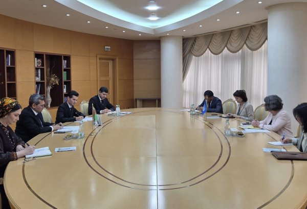 Turkmenistan and ILO discuss expanding practical cooperation