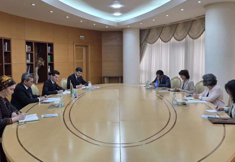 Turkmenistan and ILO discuss expanding practical cooperation