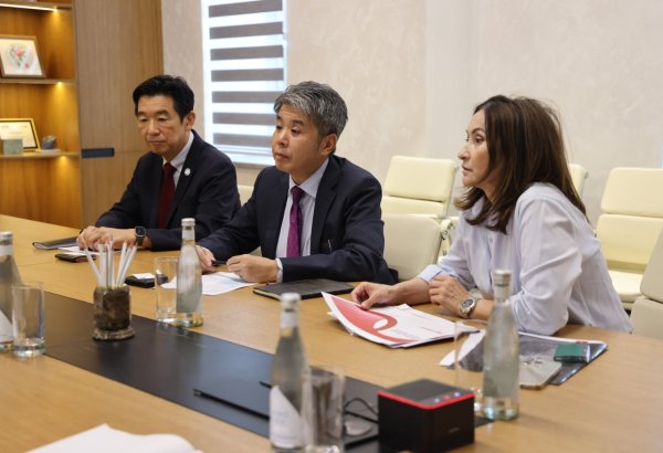 Uzbekistan, Japan's Marubeni discuss digital solutions for mining sector