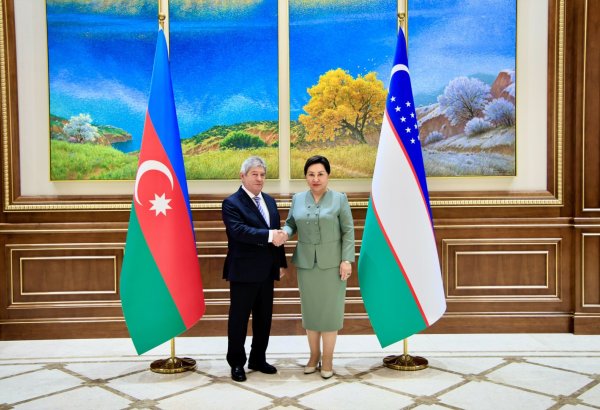 Azerbaijan, Uzbekistan deepen parliamentary cooperation ties