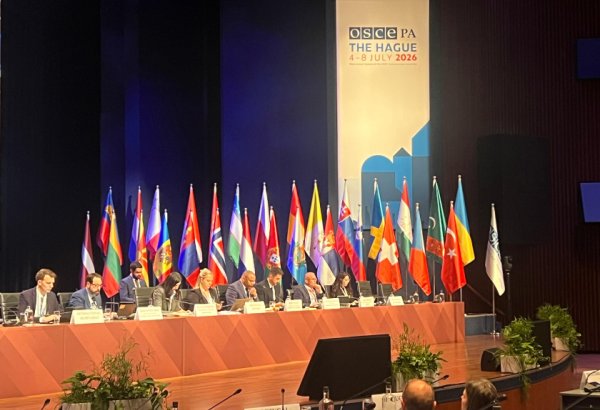 Azerbaijan’s Digital Development Council activities presented at OSCE PA session