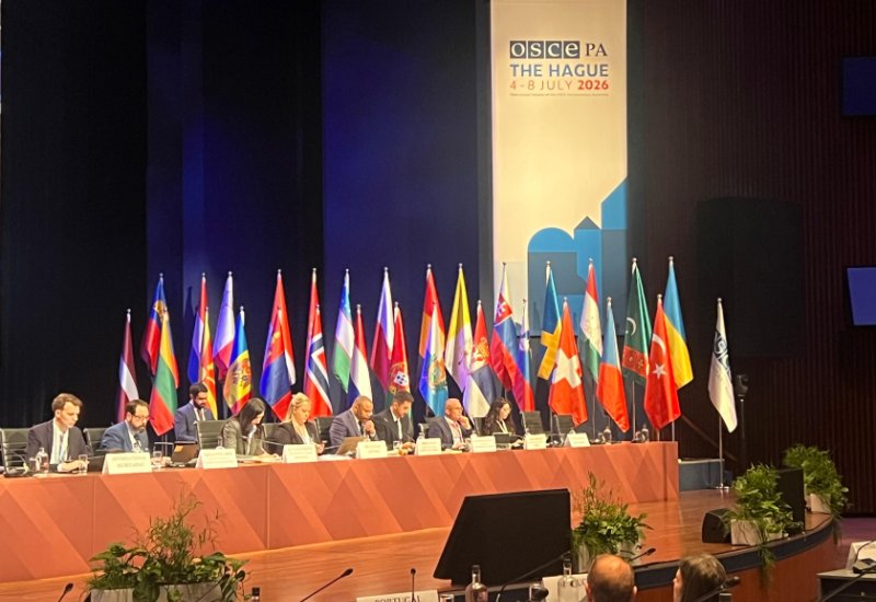 Azerbaijan’s Digital Development Council activities presented at OSCE PA session