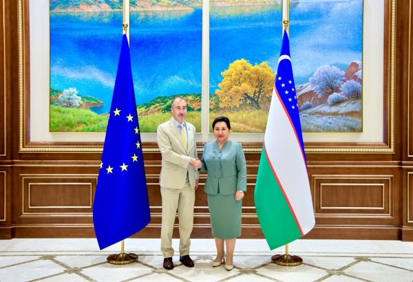 EU praises Uzbekistan reforms in talks with Senate chair