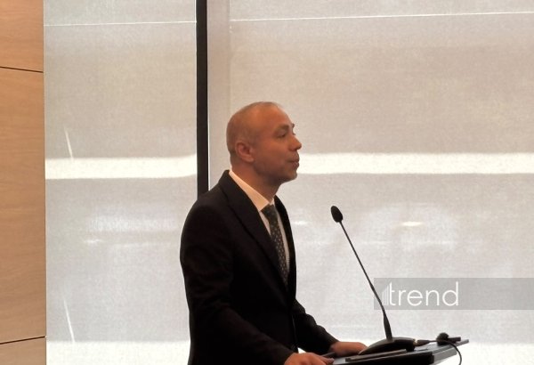 Azerbaijan leverages energy resources as key driver for economic development, deputy minister says