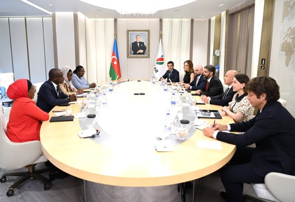 SOCAR and PETROCI review progress on Baleine field (PHOTO)