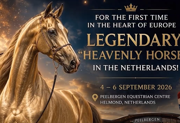 Netherlands to host World Akhal-Teke Beauty Championship in September
