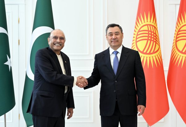 Kyrgyzstan, Pakistan step up political and economic cooperation