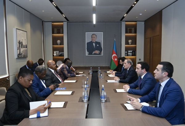 Azerbaijan’s FM receives Zimbabwean parliamentary delegation (PHOTO)