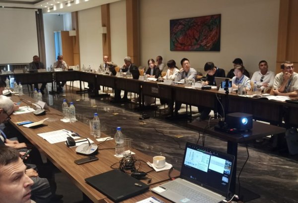 Uzbekistan presents green energy experience in Tajikistan