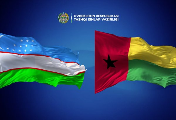 Uzbekistan, Guinea-Bissau discuss expanding bilateral cooperation
