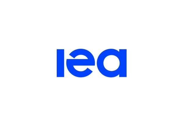 EU’s move away from Russian gas opens door for new suppliers – IEA