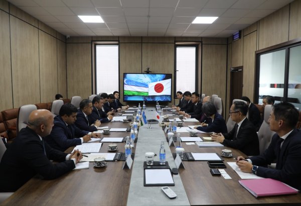 Uzbekistan, Japan explore $7.7B in prospective energy projects
