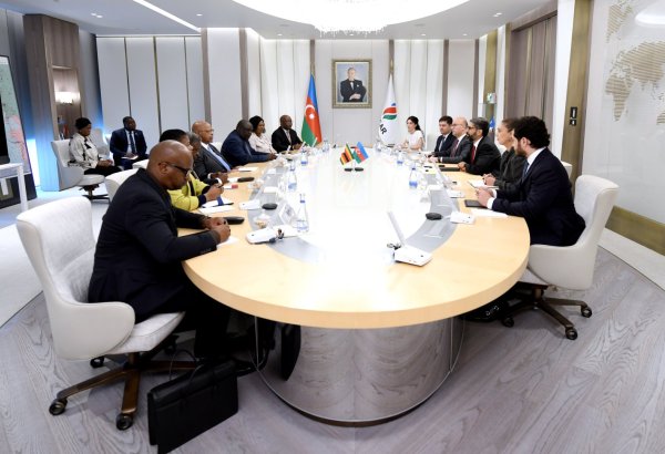 SOCAR president, Zimbabwe parliament speaker discuss energy co-op