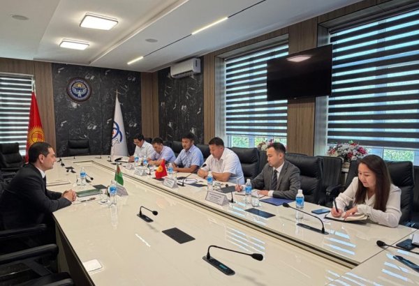 Turkmenistan, Kyrgyzstan discuss expanding energy cooperation