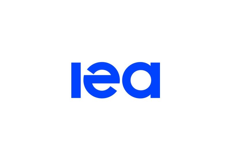 IEA predicts 1/3 share of electricity supply in global energy consumption by 2035