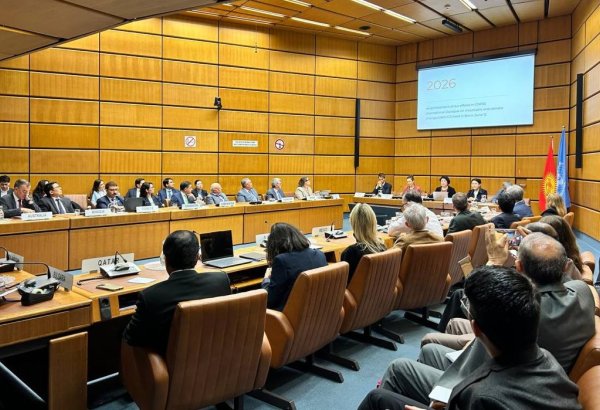 Kyrgyzstan promotes mountain agenda at Vienna roundtable