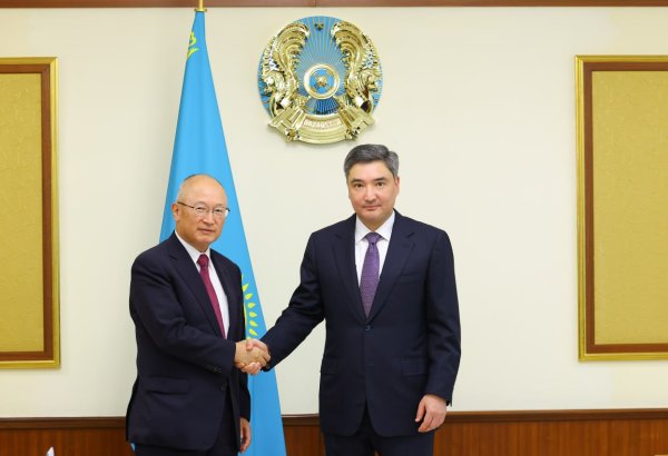 Kazakhstan, Japan's Keidanren discuss expanding investment cooperation